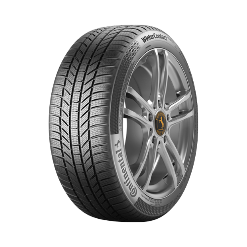 
                      
                        Continental WinterContact TS 870 P 255/45 R21 106V
                      
                    